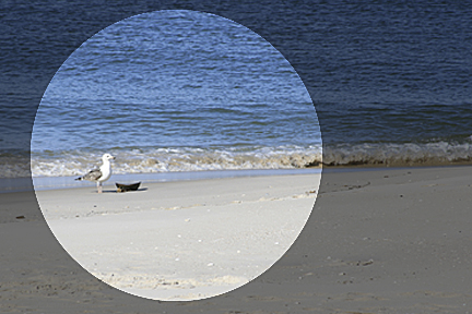 Compose Custom Dial Compose Custom Dial